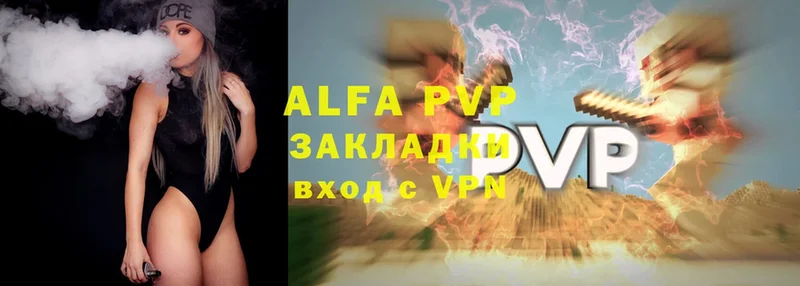 Alfa_PVP СК  Майкоп 