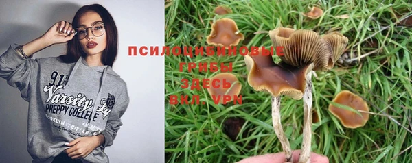 таблы Саяногорск