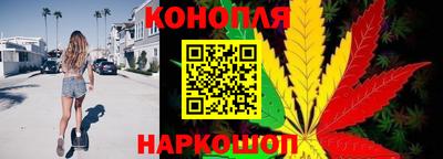 дживик Кингисепп