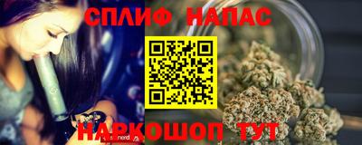 гашик Бузулук