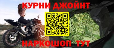 дживик Кингисепп