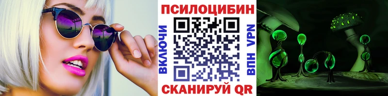 Псилоцибиновые грибы Psilocybine cubensis  Майкоп 