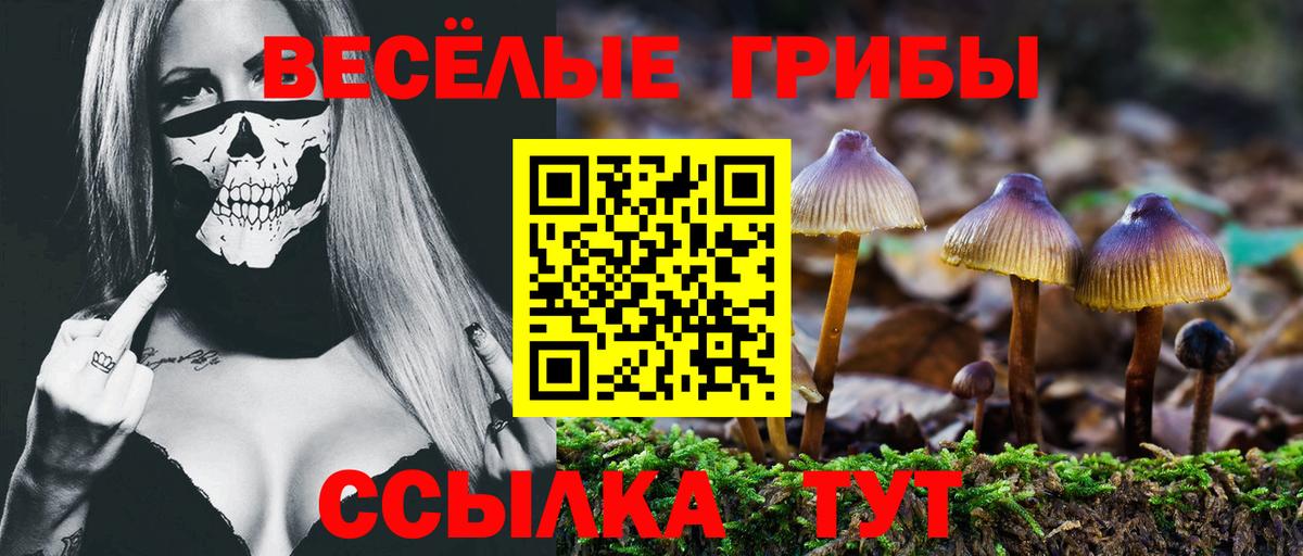 Галлюциногенные грибы Magic Shrooms Майкоп