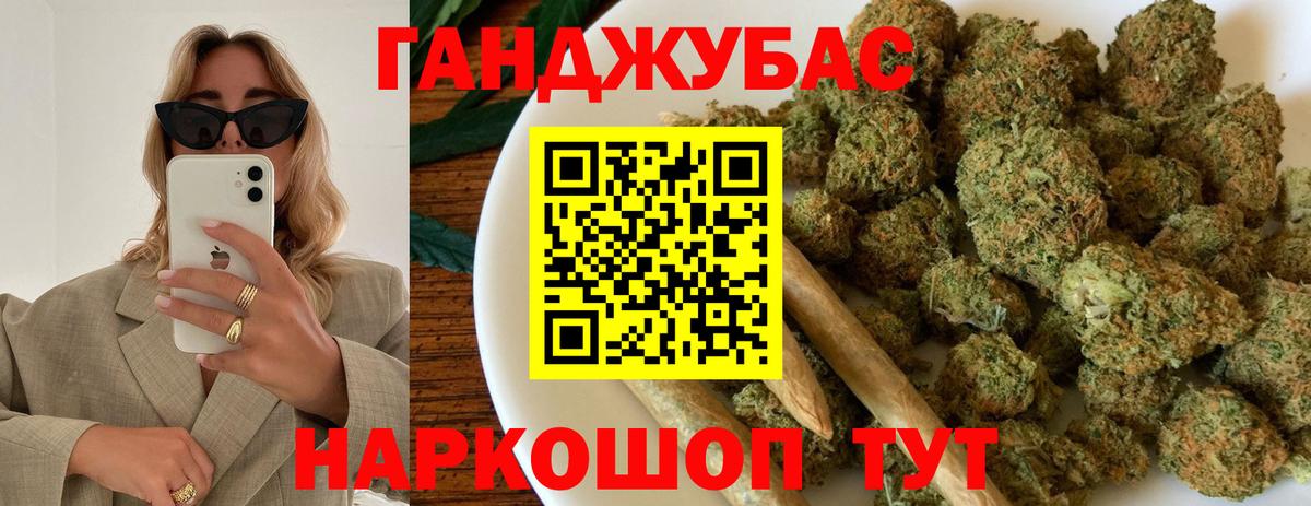 Бошки Шишки семена Майкоп